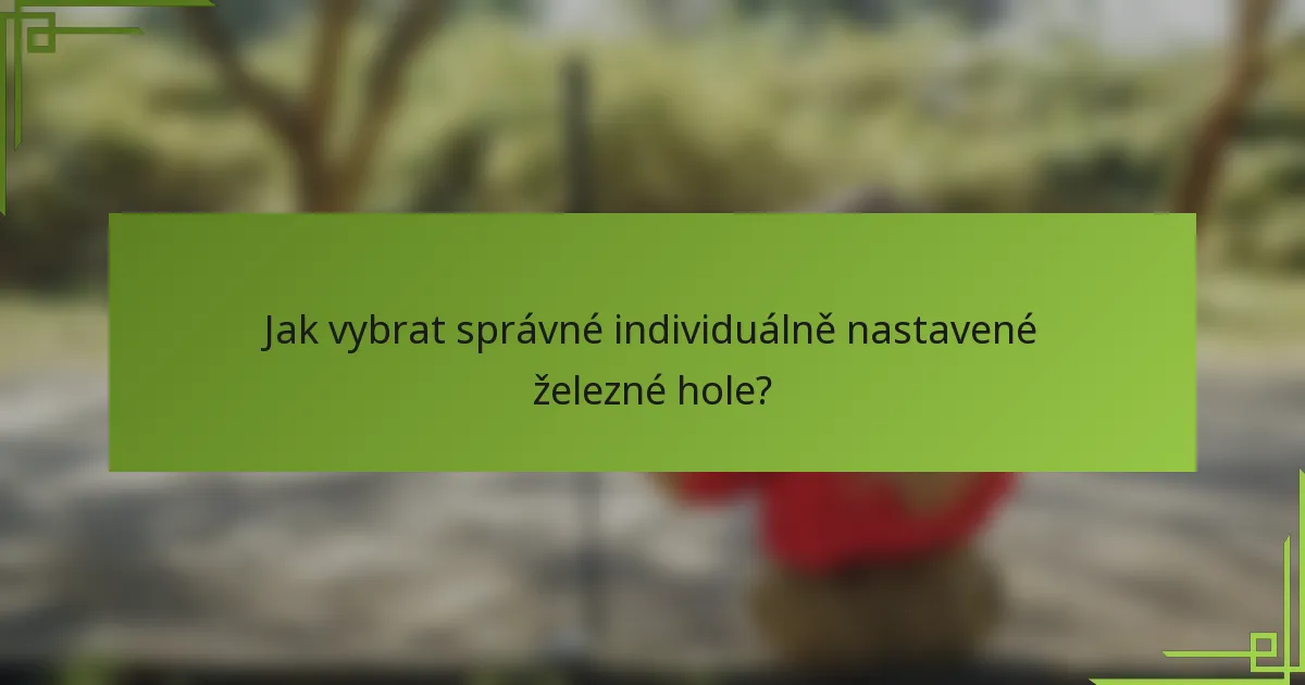 Jak vybrat správné individuálně nastavené železné hole?