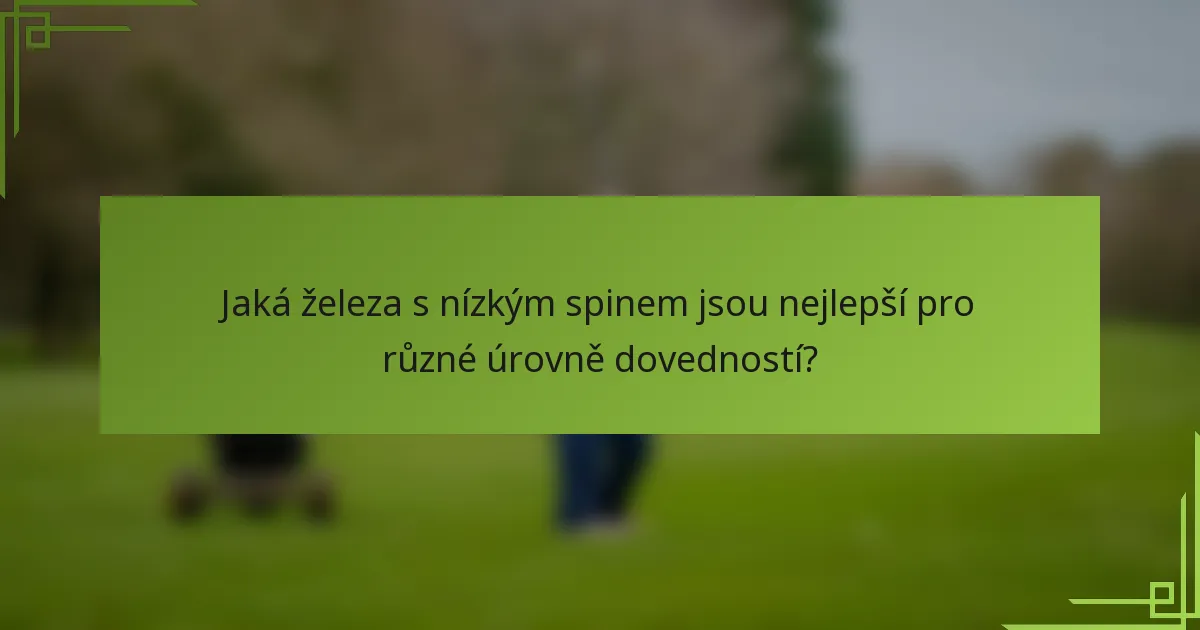 Jaká železa s nízkým spinem jsou nejlepší pro různé úrovně dovedností?