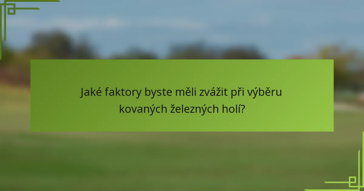 Jaké faktory byste měli zvážit při výběru kovaných železných holí?