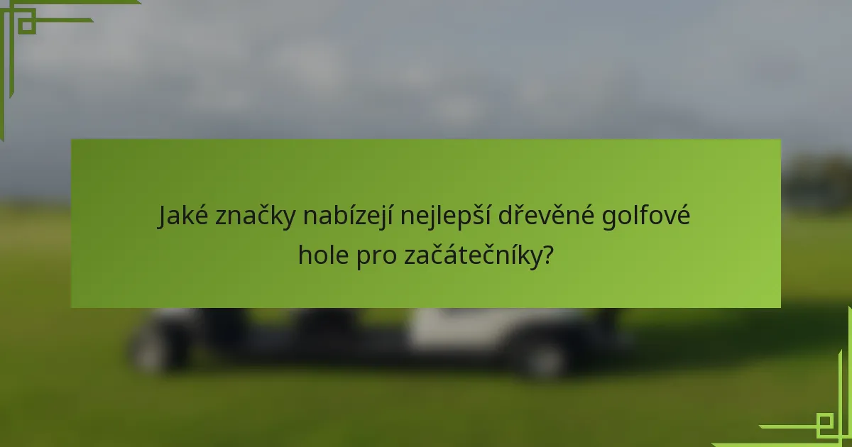 Jaké značky nabízejí nejlepší dřevěné golfové hole pro začátečníky?