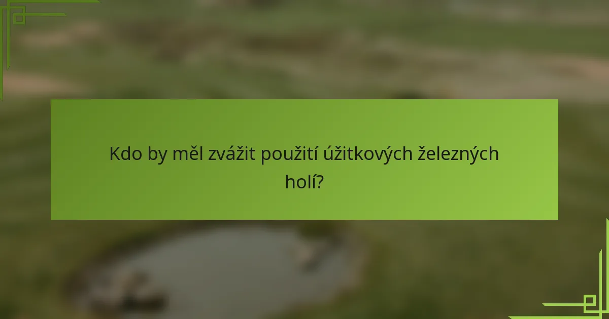 Kdo by měl zvážit použití úžitkových železných holí?