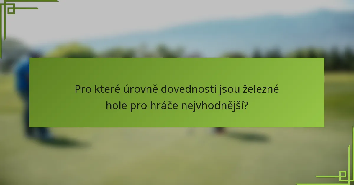 Pro které úrovně dovedností jsou železné hole pro hráče nejvhodnější?